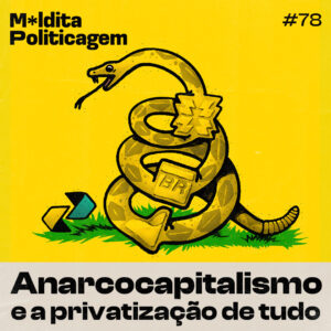 Anarcocapitalismo e a privatização de tudo
